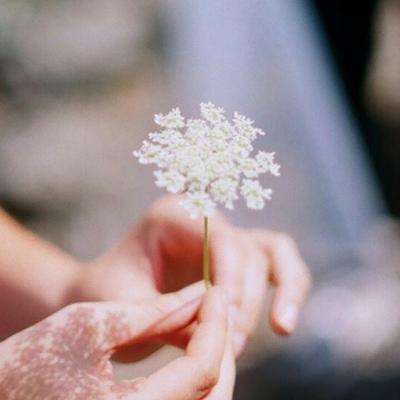 半岛手机综合体育官方下载安装