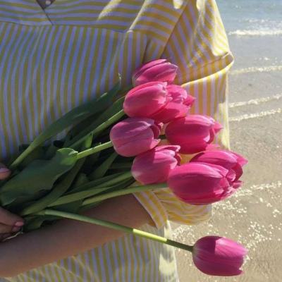 域网棋牌手机app下载