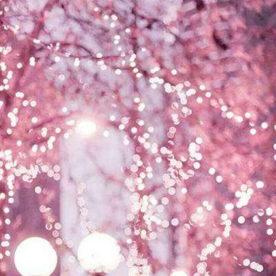 NG体育APP官方下载网址