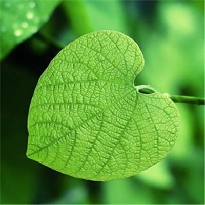 云开·全站中国官方网站